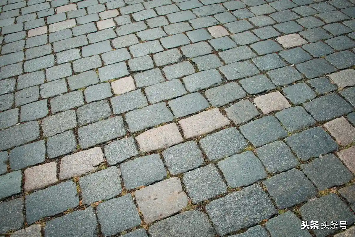 利用词根词缀记单词（17）