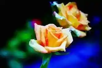 时间的河流：在飞逝中寻找永恒