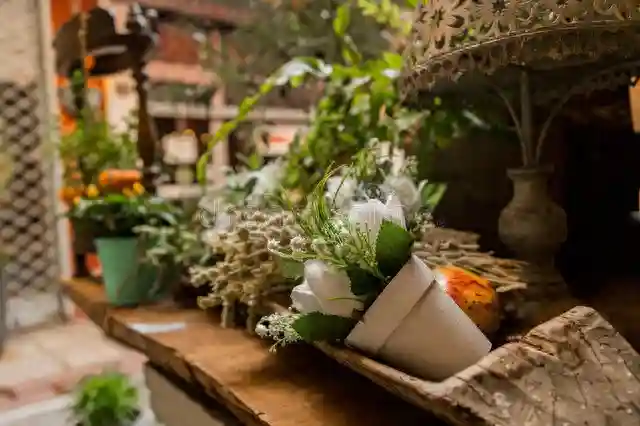 自我关怀：在慢生活中找到你的温暖港湾