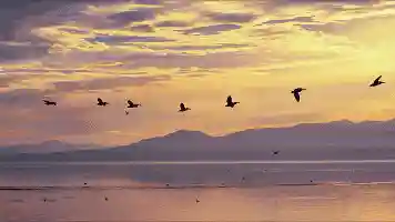 「夜读」不要在该奋斗的年纪，安逸青春