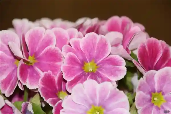 精美的人生感悟早安祝福短语，为您新的一天加油