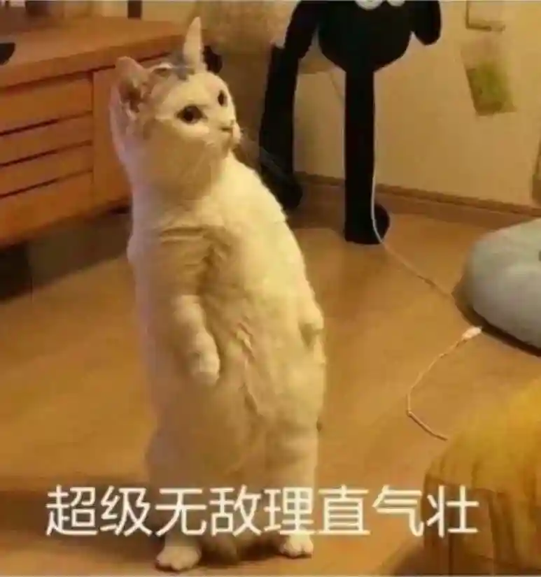 教育部官宣：这些都算就业