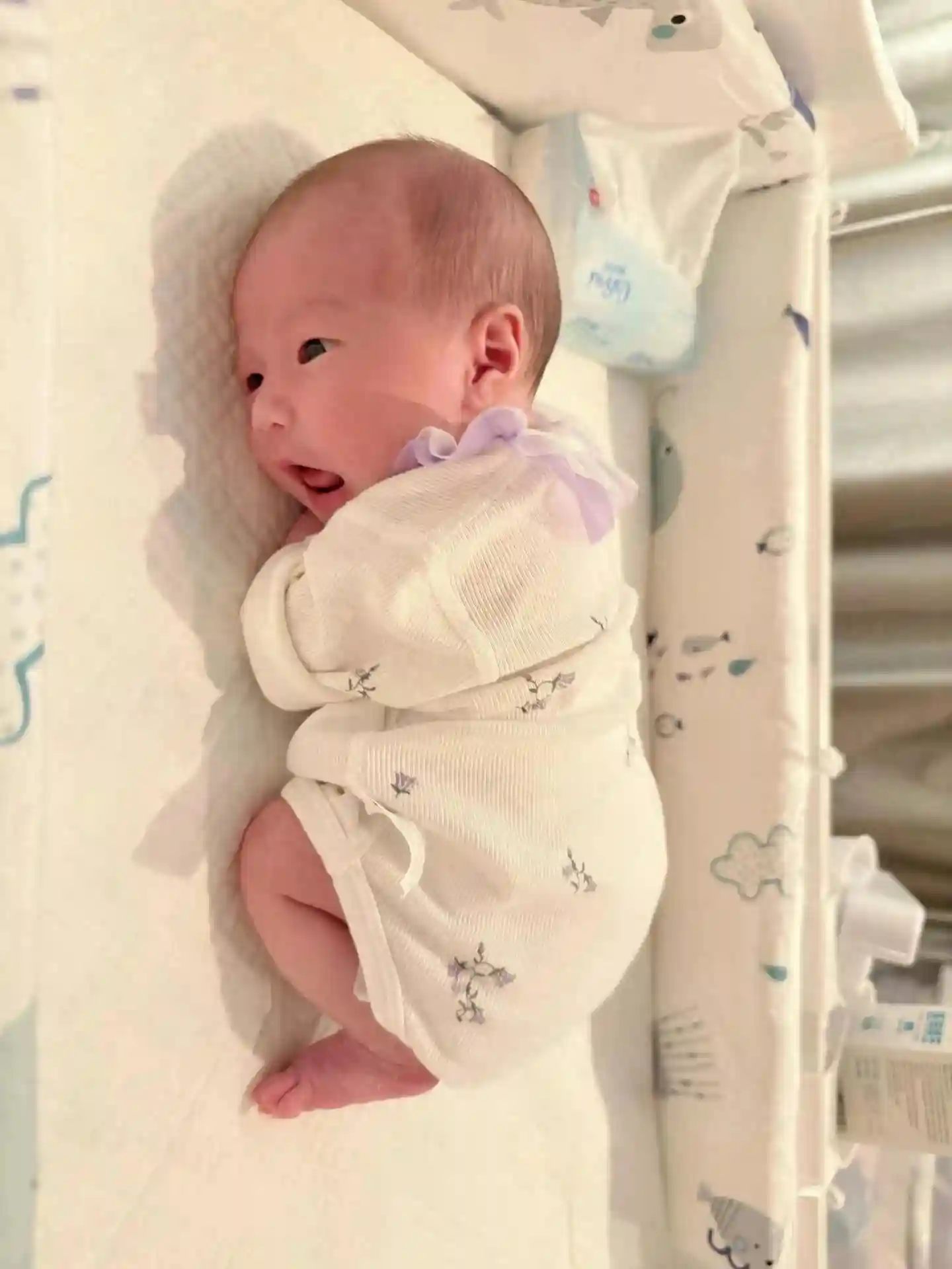 掌握宝宝需求的小秘密，让带娃变得轻松愉悦！