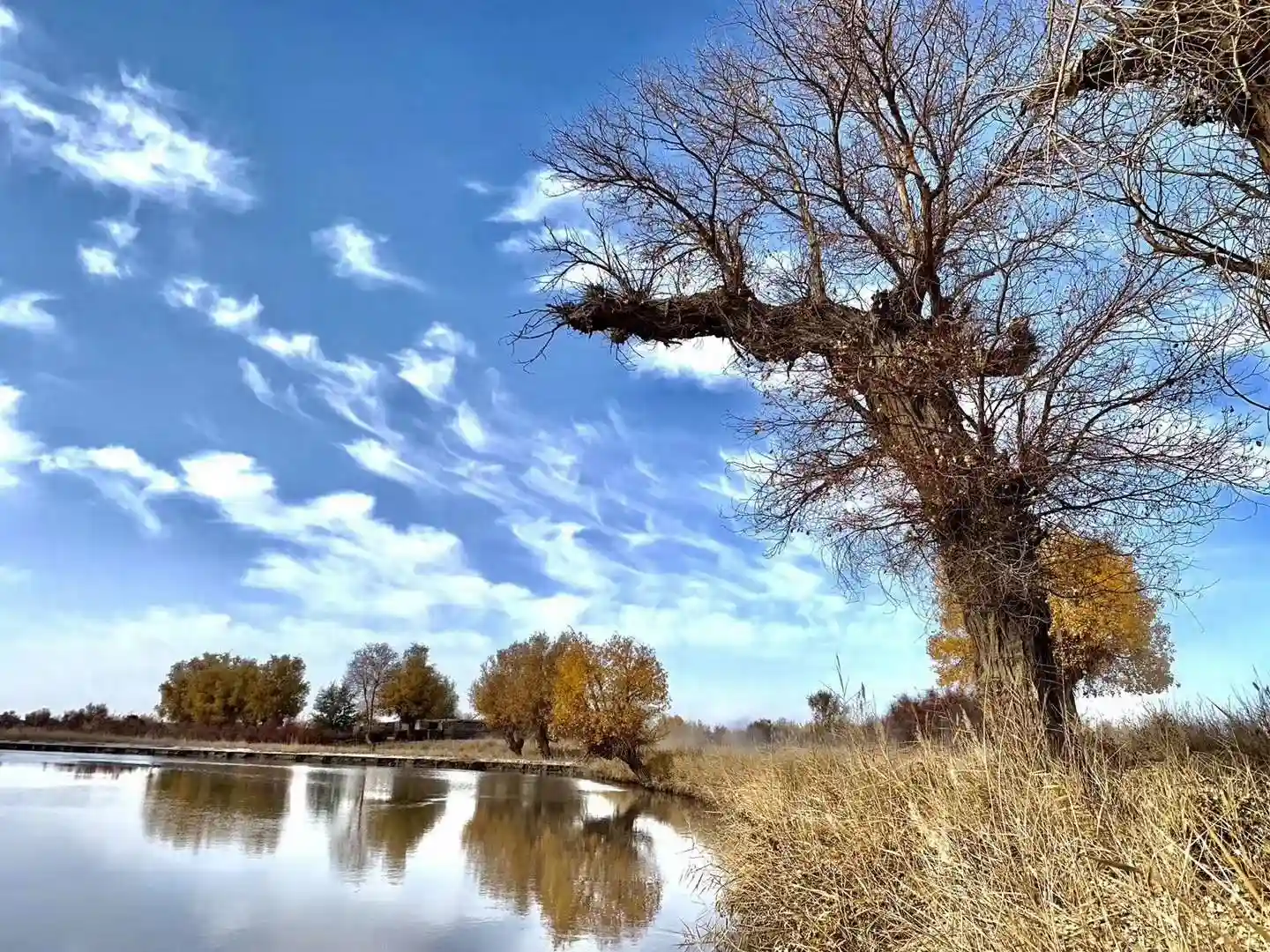 首发：一带一路之歌（中英文版） Song of the Belt and Road