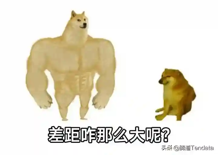 你缺的不是客户，而是跟进客户的能力