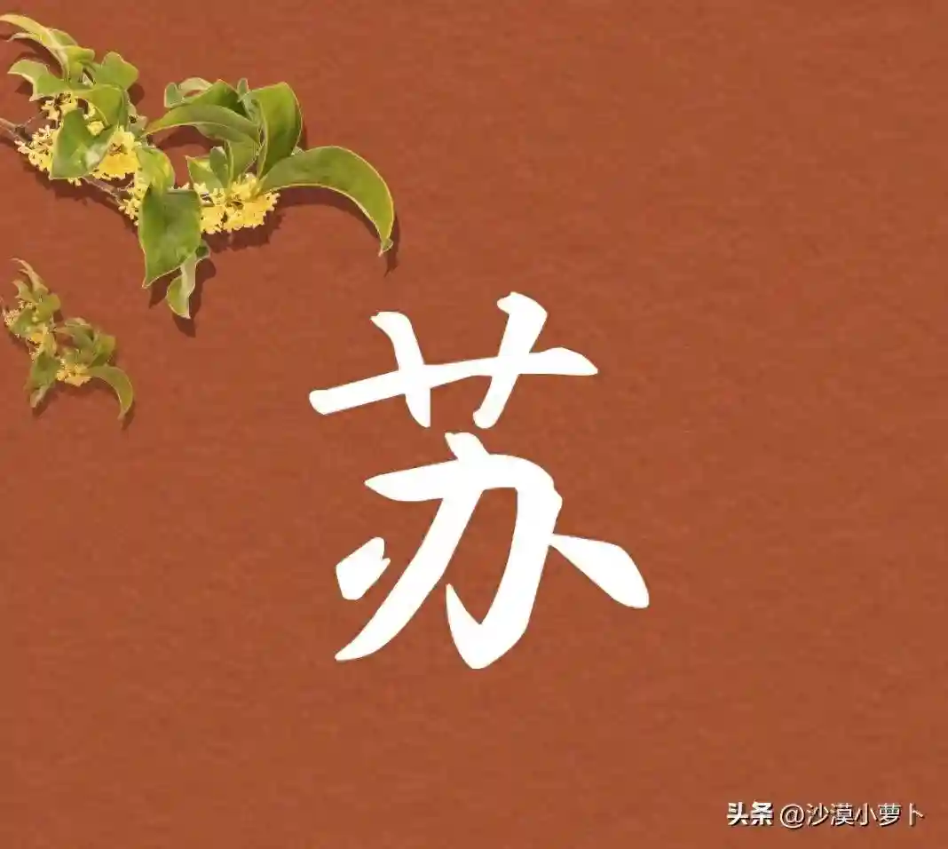 116个谐音梗网名，你会叫什么，来看看有你的姓氏吗？