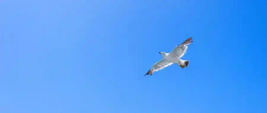 坤鹏论：从存在的此岸到虚无的彼岸