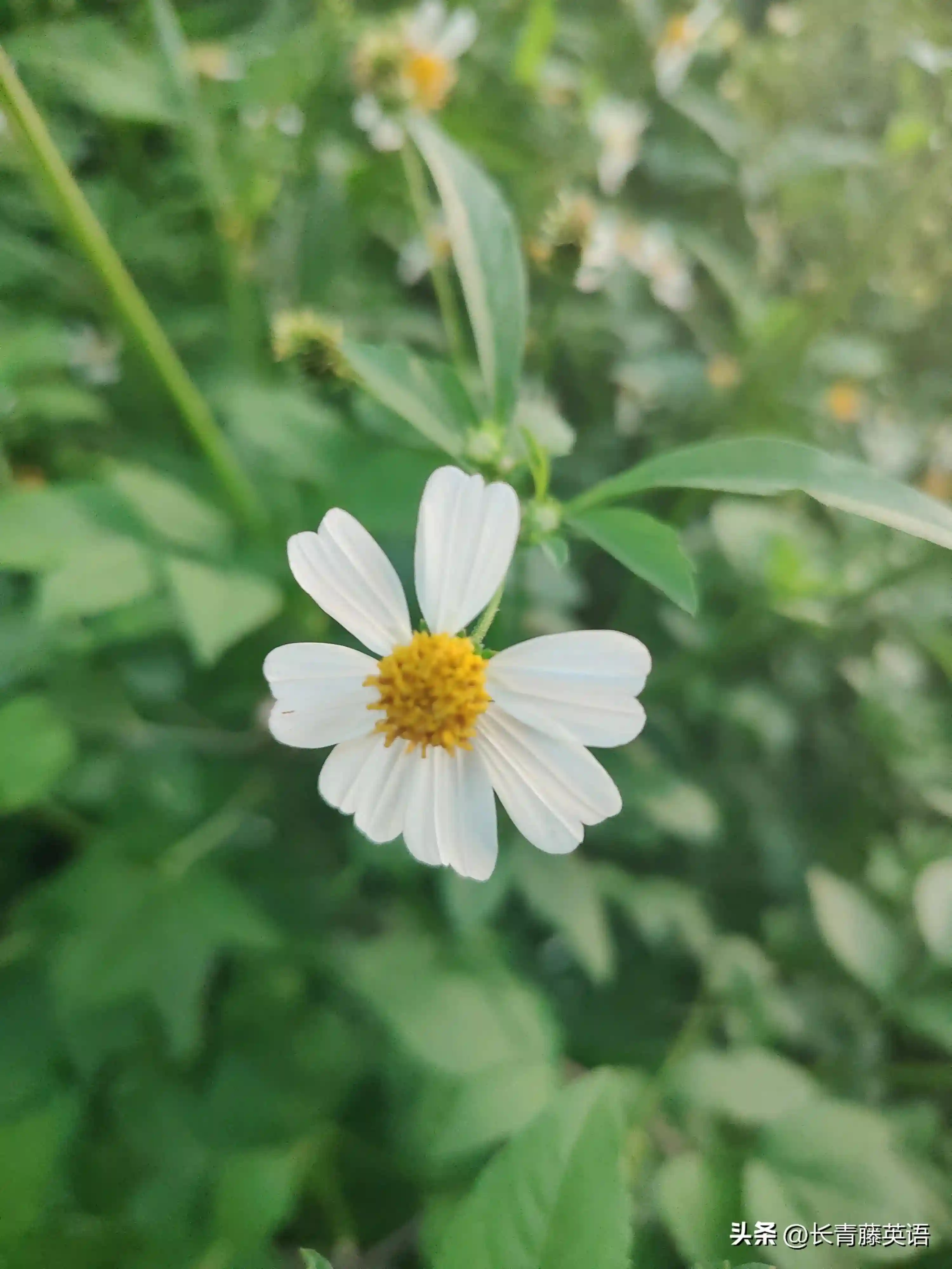 单词变变变：玩转英语单词系列(1)