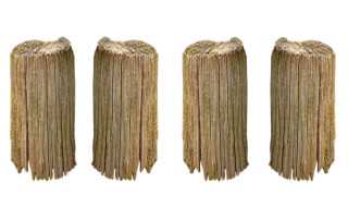 90亿人次的流动 2025年春运热点前瞻